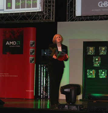 支持“上海” AMD服务器芯片组明年面世 