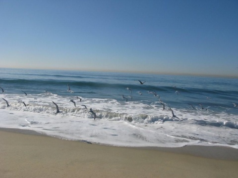 英特尔之变 - IT老记 - 华为的世界