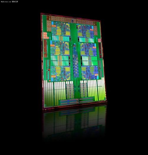 AMD