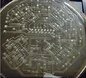 业界奇闻:用空气进行运算的微处理器 业界奇闻:用空气进行运算的微处理器