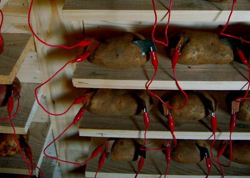 天方夜谭 Web服务器用土豆电池供电！