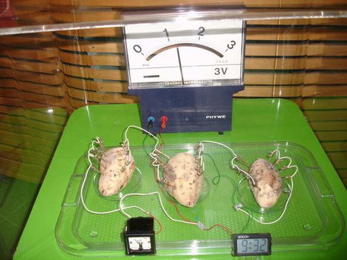 天方夜谭 Web服务器用土豆电池供电！