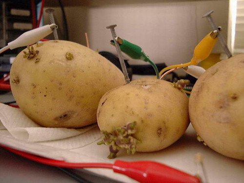 天方夜谭 Web服务器用土豆电池供电！