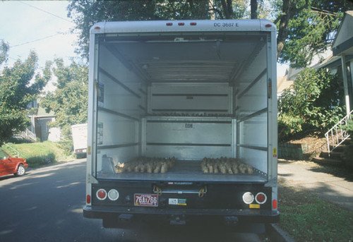 天方夜谭 Web服务器用土豆电池供电！