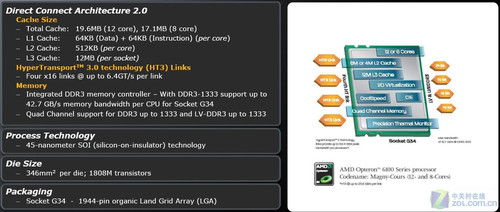 全面解读 关于AMD皓龙6000平台的那些事 