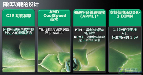 龙起云涌芯聚多核 AMD皓龙6000平台发布 