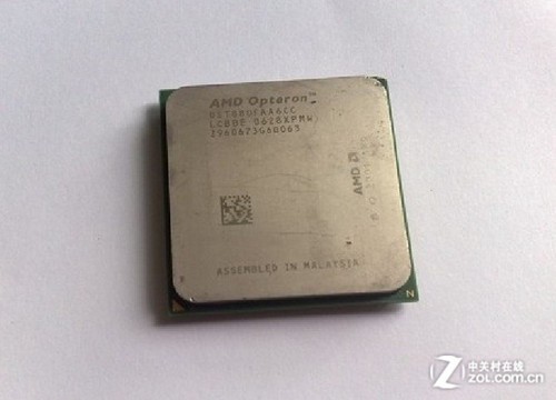 AMDعʮ 